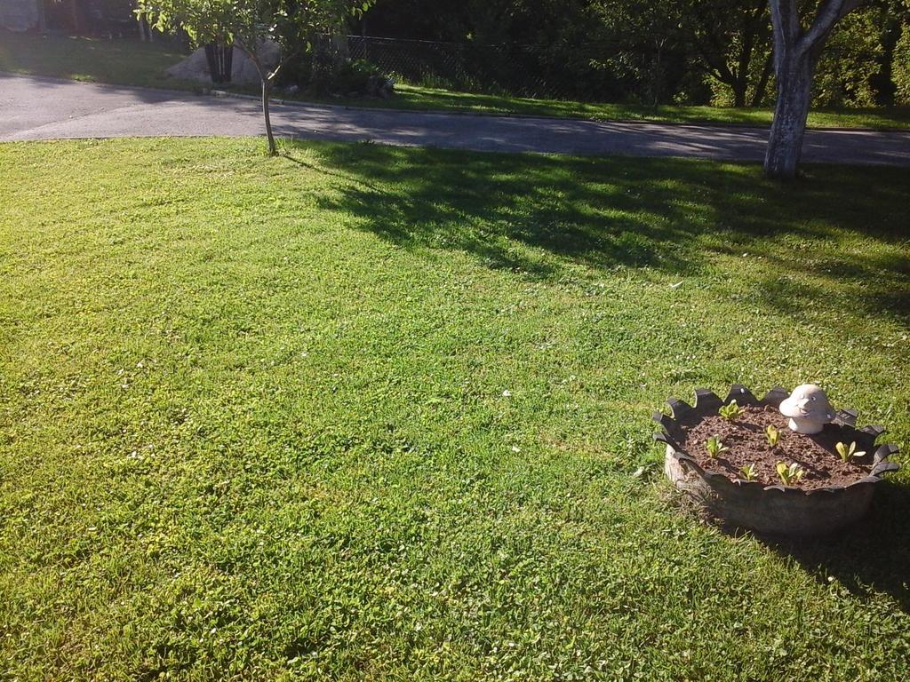 Guesthouse Anka Plitvica selo Zewnętrze zdjęcie
